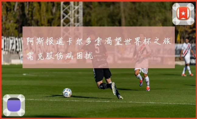 阿斯报道卡尔多索渴望世界杯之旅需克服伤病困扰